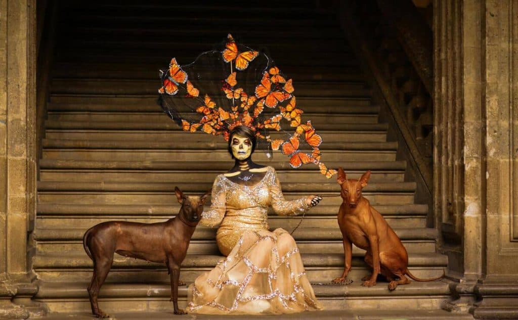 La leyenda del Xoloitzcuintle: el compañero de viaje de los muertos