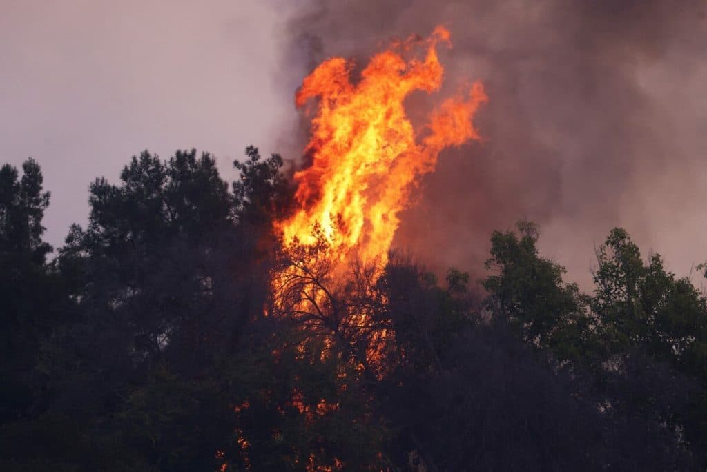Incendios en Los Ángeles provocan que celebridades huyan y Hollywood cancele eventos