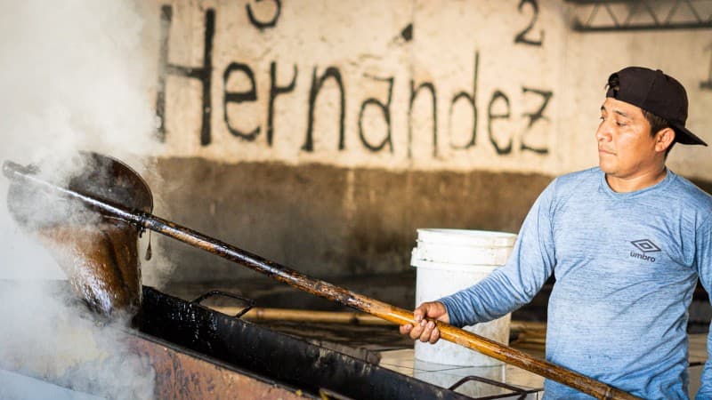 Molienda Los Hernández se prepara para su tradicional «XXII Feria de la Panela «