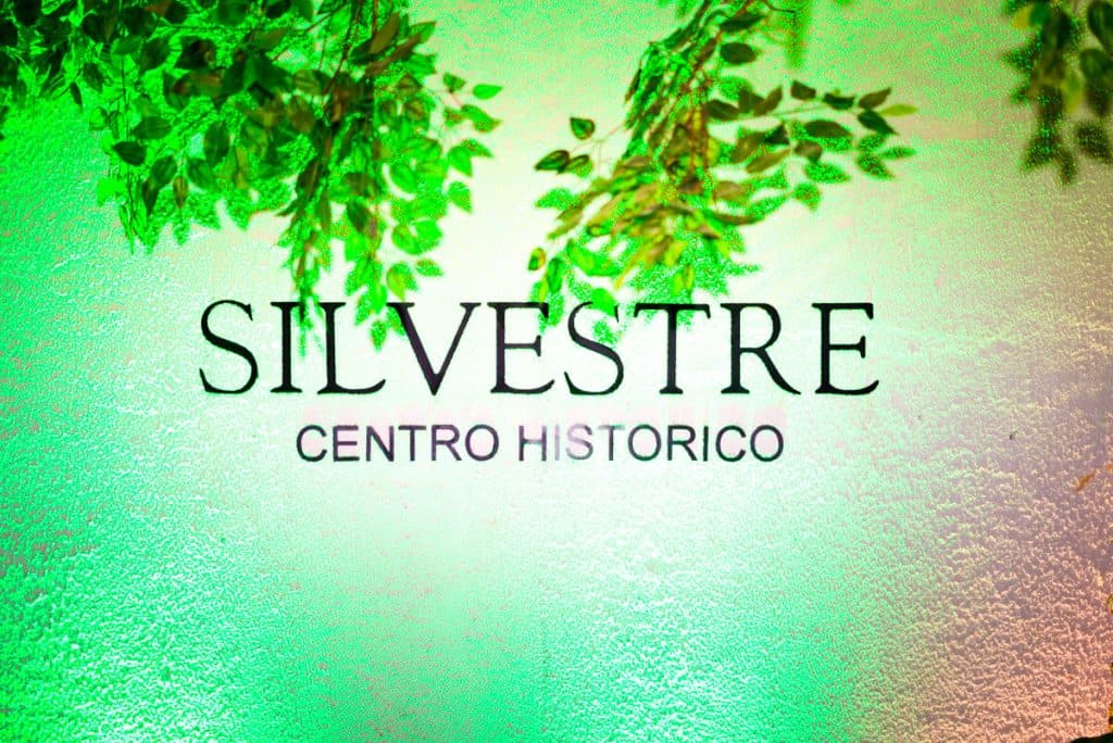 Silvestre: Una experiencia de innovación gastronómica en el Centro Histórico
