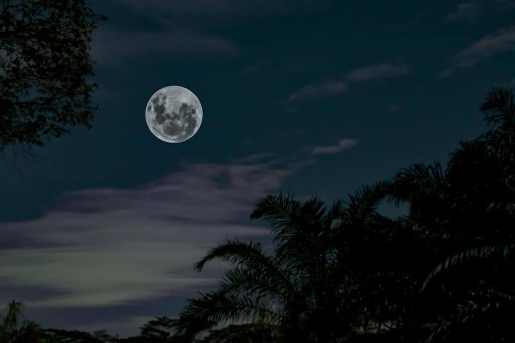 Marzo 2025: Conoce los rituales que debes hacer ante la Luna en su fase Llena y Nueva