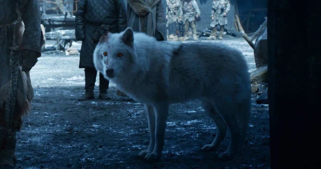 El regreso del Lobo Gigante de Juegos de Trono: Un hito científico que despierta debate