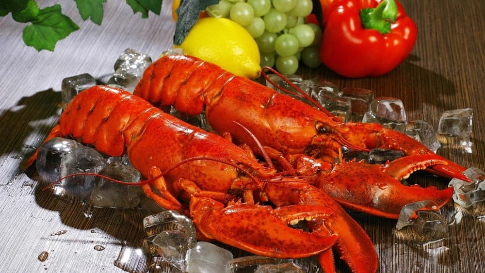 Conchagua realizará el 3° Festival de la Langosta