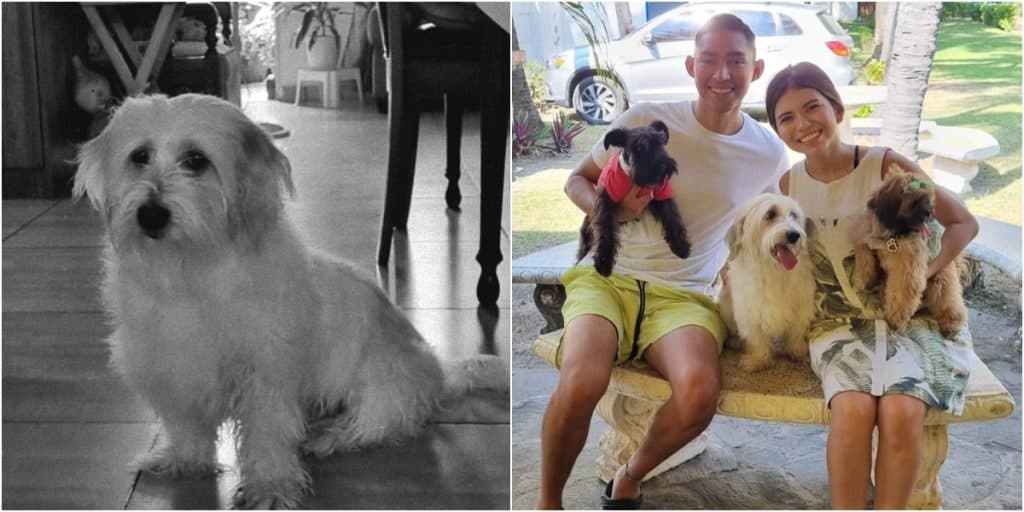 ¡Fernanfloo de luto! se despide de su mascota de toda la vida