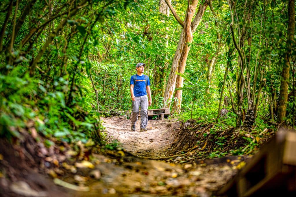 ¡Abrazar un árbol sí sana! Estos son los beneficios de reconectar con la naturaleza