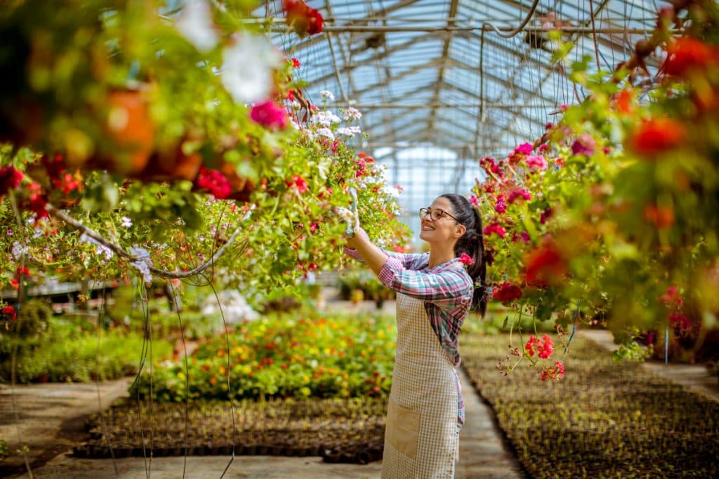 Las plantas dan vida