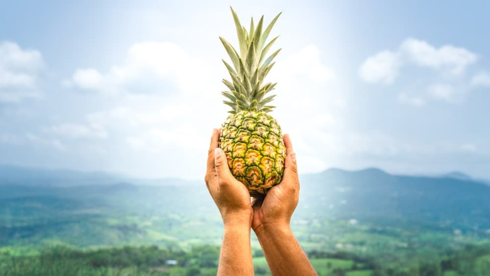 La Capital de la Piña