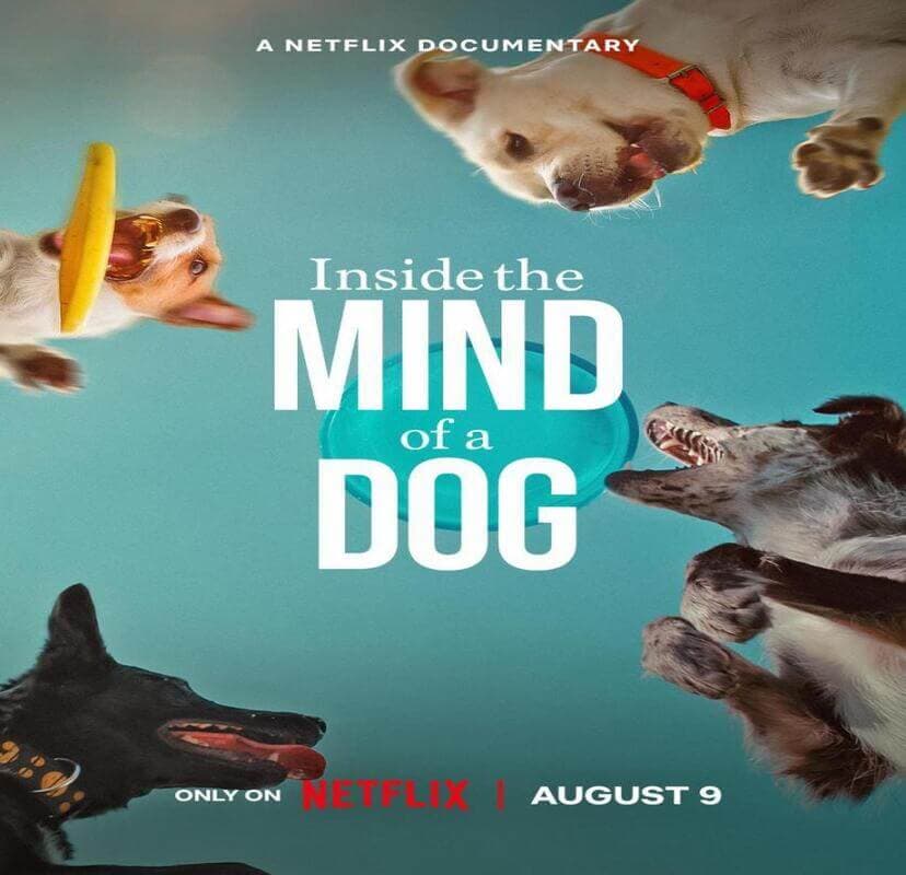 Documentales de Netflix que no debes perderte si eres amante de los animales