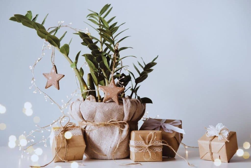 Navidad sostenible: 10 consejos para celebrar cuidando el planeta