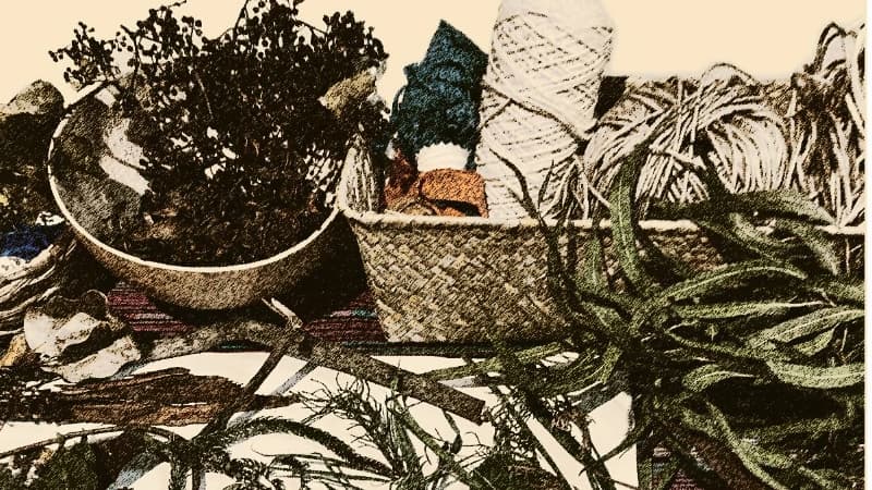 El CCESV realizará el taller infantil «Artistas con la naturaleza: Territorios, siembras, nidos y aguas»