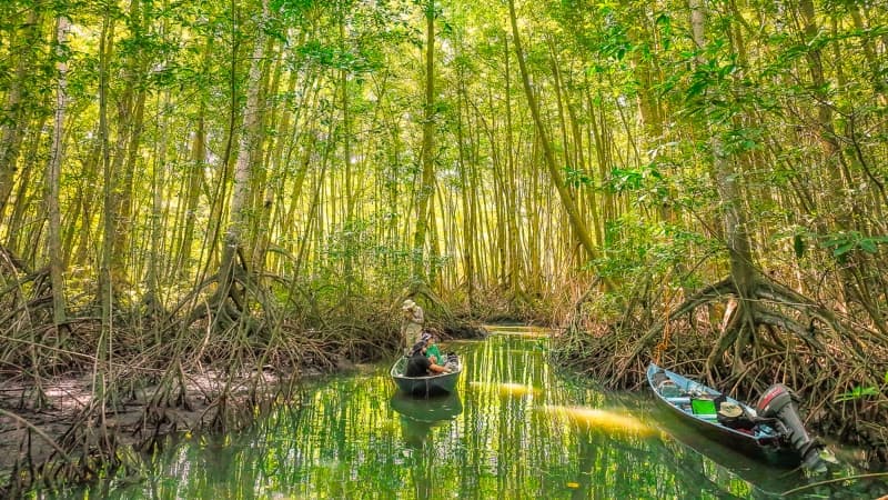 Áreas Naturales Protegidas que puedes visitar en vacaciones de Semana Santa
