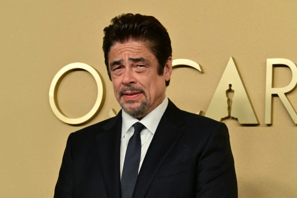 Benicio del Toro sobre su sensei nominado al Óscar: tiene «mucho de mí»