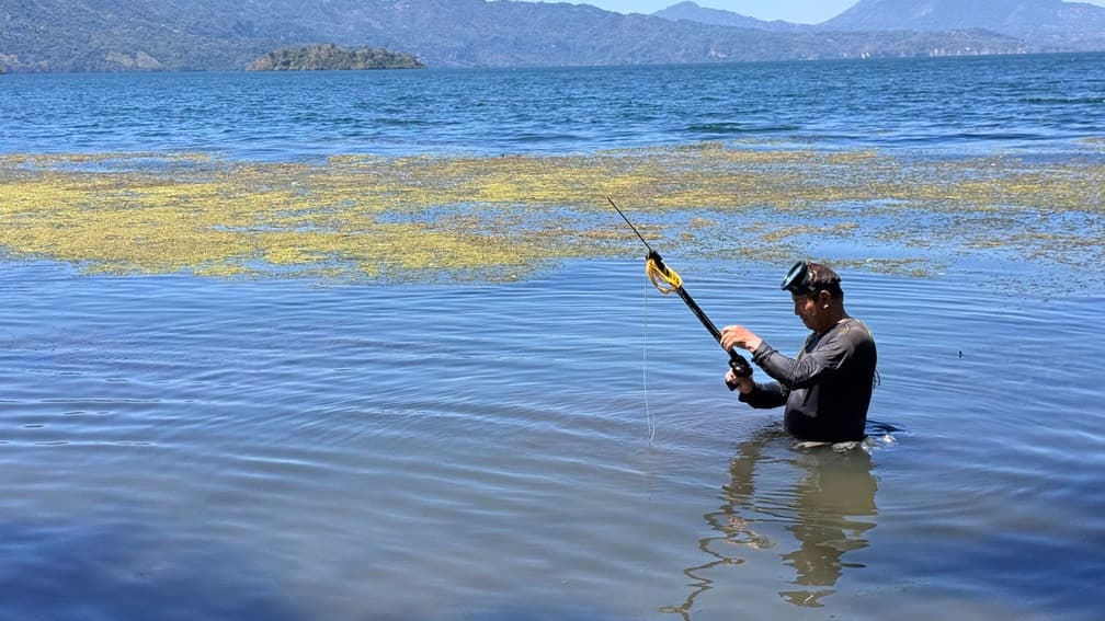 Salvadoreño sorprende con su técnica para pescar con arpón en el Lago de Ilopango