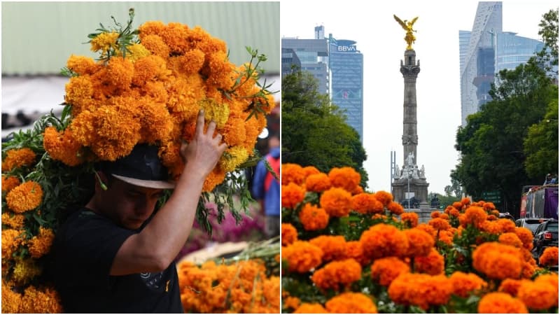Medio millón de flores de cempasúchil adornan la Ciudad de México para celebrar el Mundial 2026