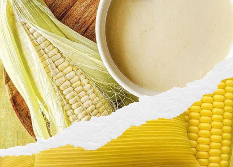 Festival del Maíz 2026: conoce conoce los lugares y fechas de esta fiesta gastronómica