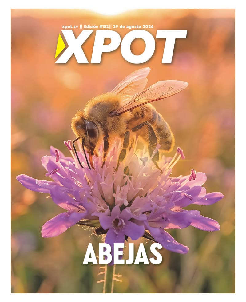 Portada e-Paper XPOT edición 152