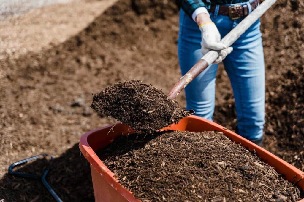 Los beneficios del compostaje en tu hogar