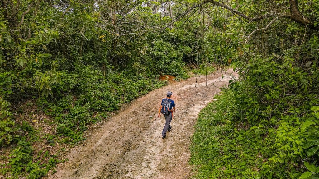 Hiking: cómo iniciar