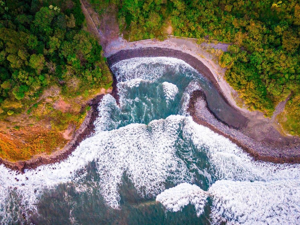 Los tesoros de Oriente