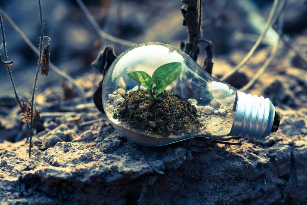 Reciclaje en casa: Una alternativa ecológica