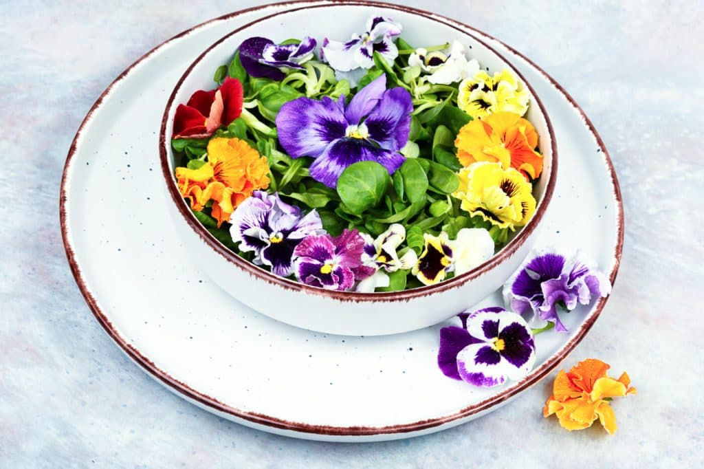 Del jardín al plato