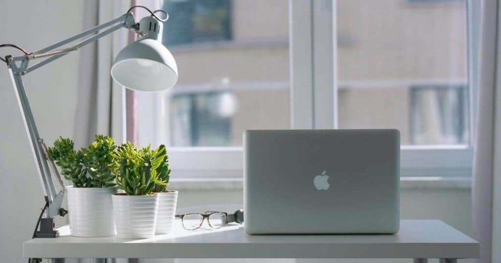 Plantas ornamentales: tus aliadas para un entorno laboral saludable