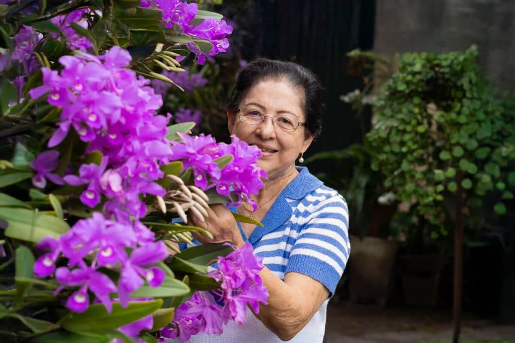 ¿Tienes orquídeas en casa? Aquí te contamos cómo mantenerlas hermosas todo el año