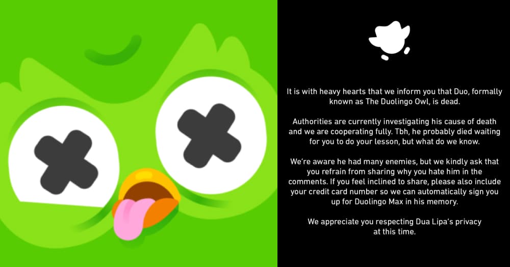 Duolingo revela causa de muerte de su mascota y lanza una esperanza de recuperarlo