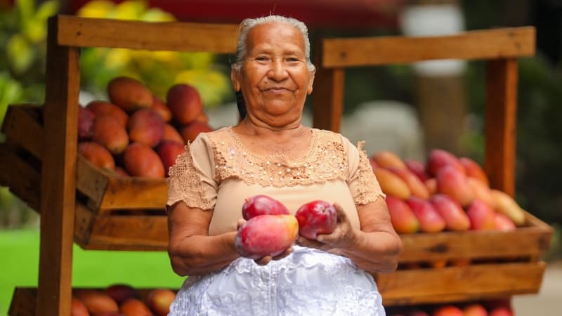 El ISTU ya tiene fecha para la «Expo Mango 2025»