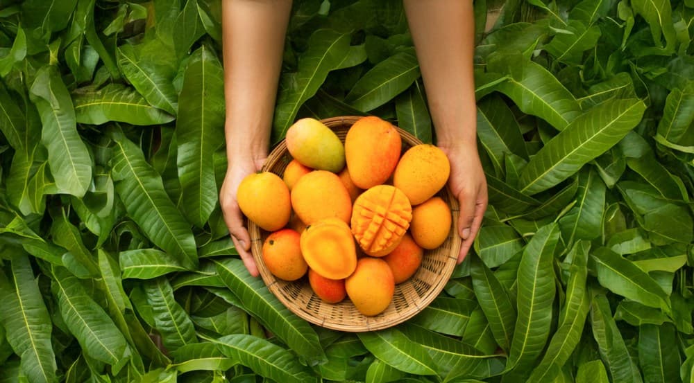 Sabores naturales