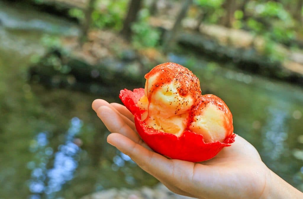 Aprovecha la temporada del jocote, mango y marañón con estos deliciosos postres