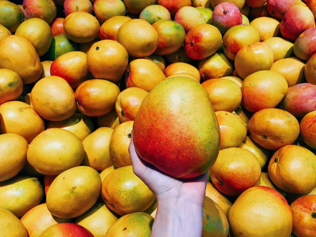 Tres destinos ideales para disfrutar de recorridos frutales en estas vacaciones