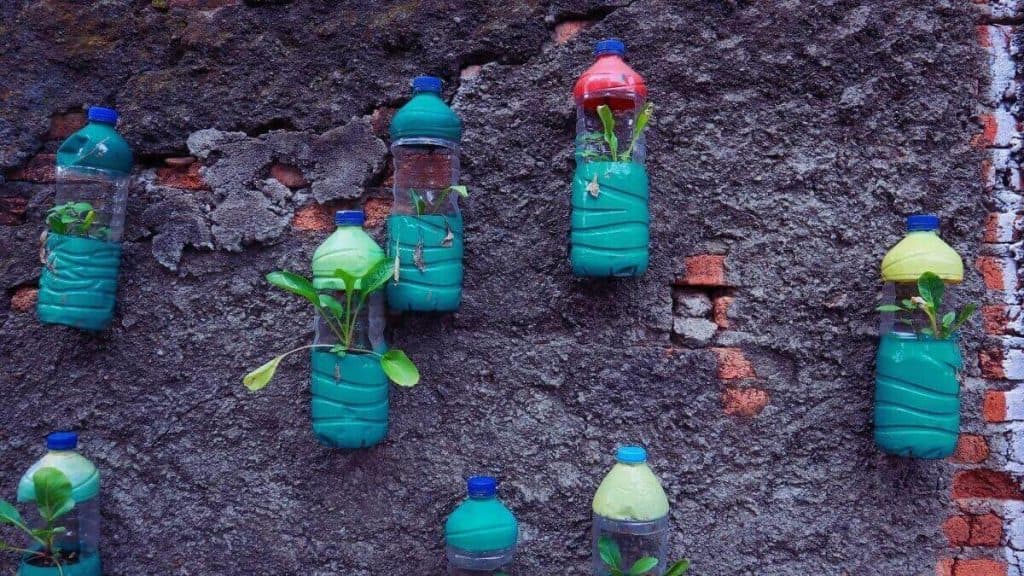 Maceteros con botellas recicladas: transforma tu hogar con creatividad y conciencia