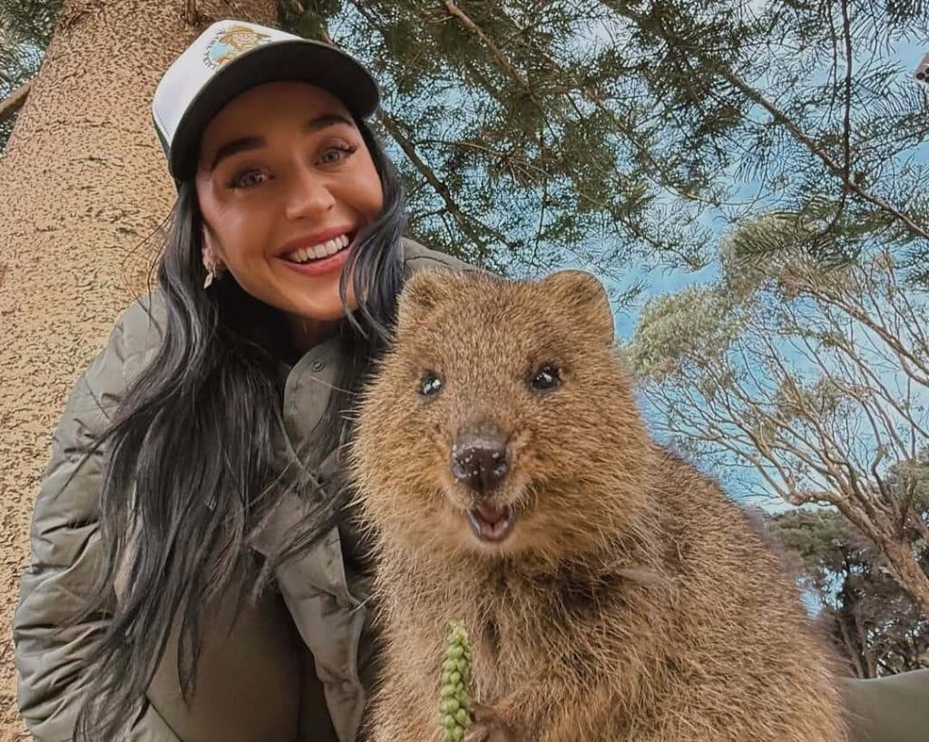 Katy Perry se encuentra feliz en Australia y confirma su separación con Bloom