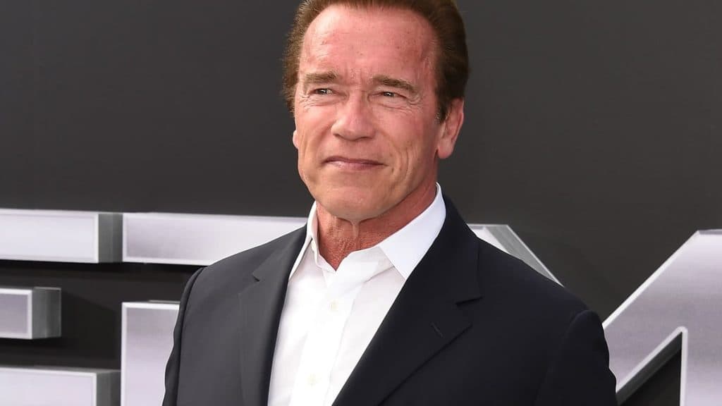 Schwarzenegger sorprende a los usuarios del metro de Viena con un mensaje