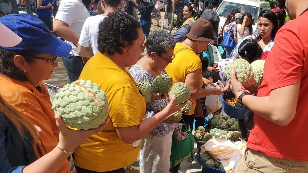 La fruta de la discordia: ¿Por qué las anonas han causado controversia en El Salvador?