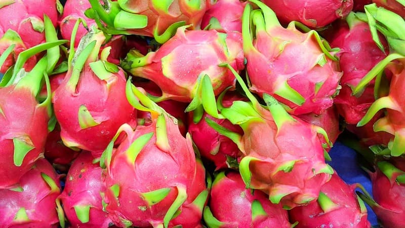 ¿Por qué incluir pitahaya en tu dieta puede mejorar tu salud? Aquí te contamos