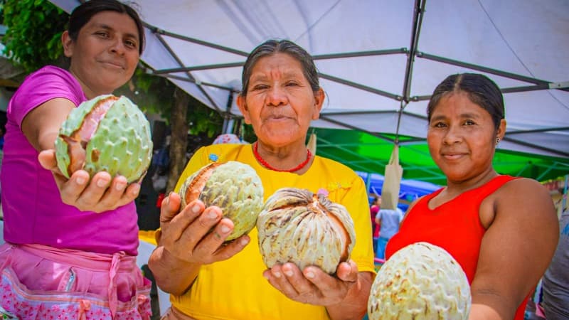 Rosario de Mora y Panchimalco celebrarán los festivales de la anona más grandes de El Salvador