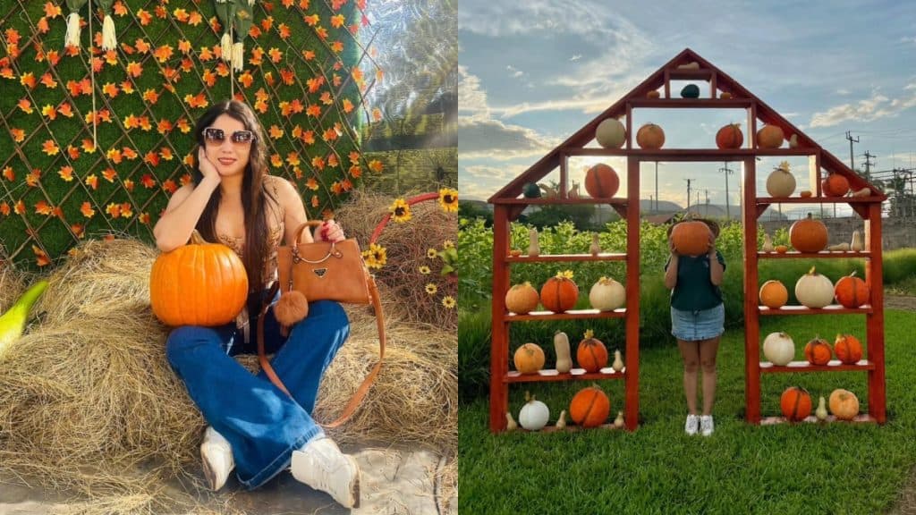 Festival de Otoño en Rainbow Ornamentales llega en octubre a El Salvador
