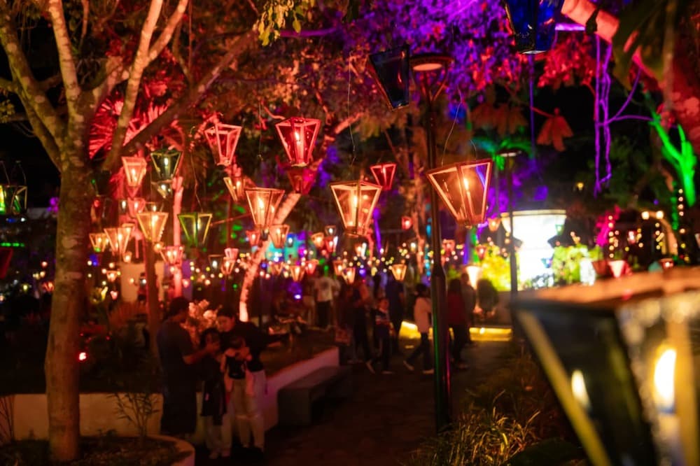 Así se vivió la primera noche del Festival de los Farolitos en Ruta de Las Flores