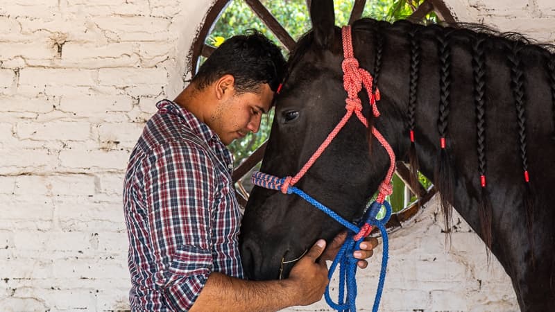 ¿Qué es la equinoterapia y cómo pueden los caballos ayudarte a sanar?
