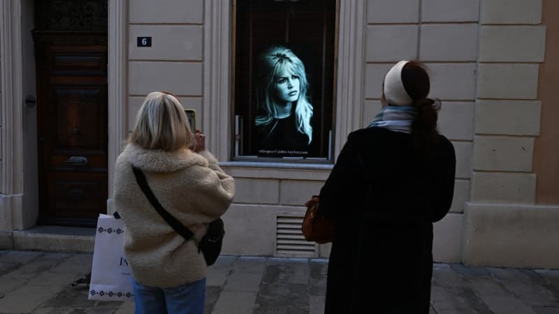 Cannes homenajea a Brigitte Bardot con una playa abierta a los perros