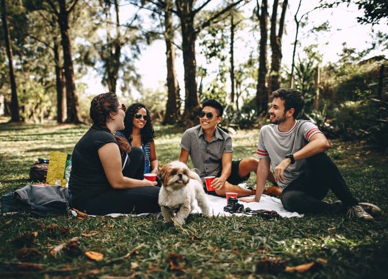 Guía para organizar una tarde de picnic perfecta