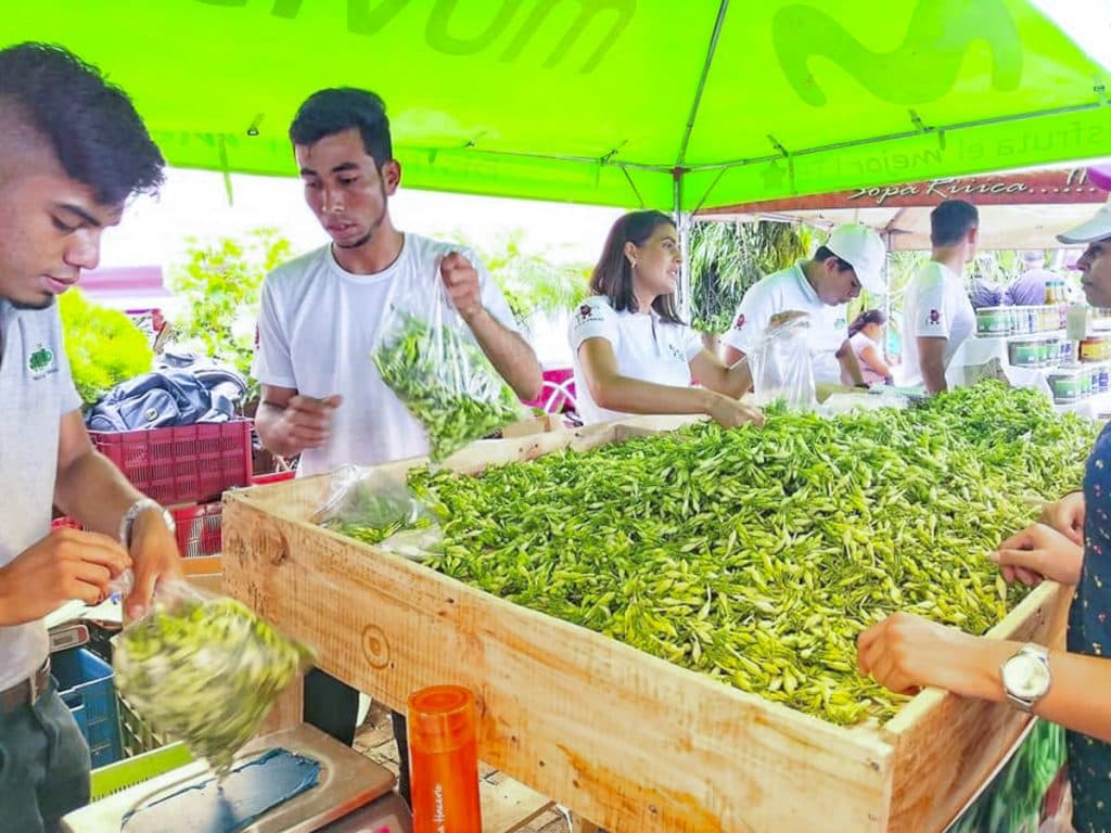 Festivales gastronómicos que no te puedes perder en septiembre