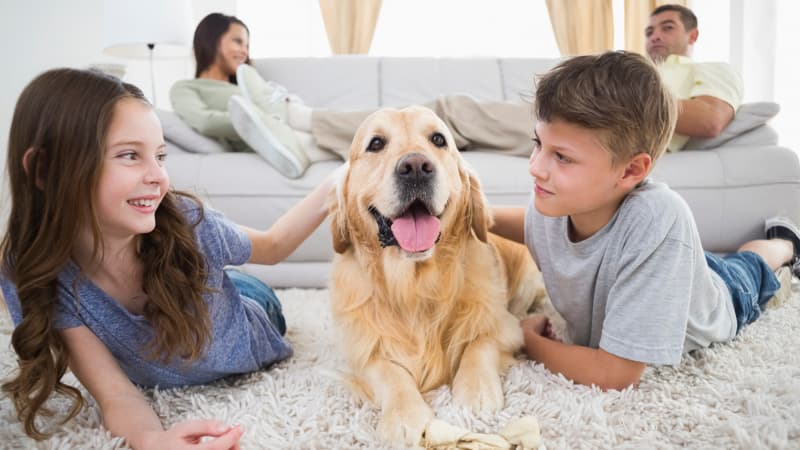 ¿Estás cuidando bien a tu mascota? Estas 9 recomendaciones pueden ayudarte