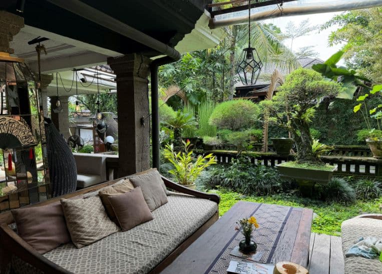 Naturemaxxing: La nueva tendencia para transformar tu hogar