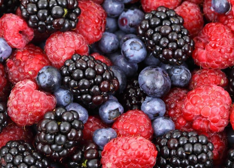 los alimentos que frenan el envejecimiento cerebral y protegen tus recuerdos