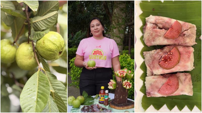 San José Guayabal realizará en octubre el Festival de la Guayaba: conoce todos los detalles