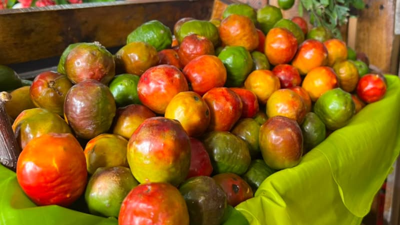 Conoce las actividades que podrás disfrutar en la Feria del Jocote de Corona en el Cerro Verde