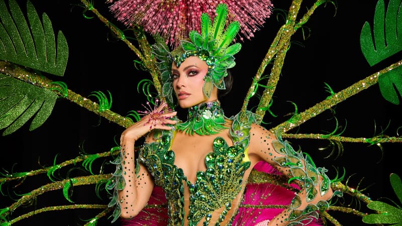 La anfitriona de Miss Universo 2026, Miss Puerto Rico, revela su traje nacional para la competencia
